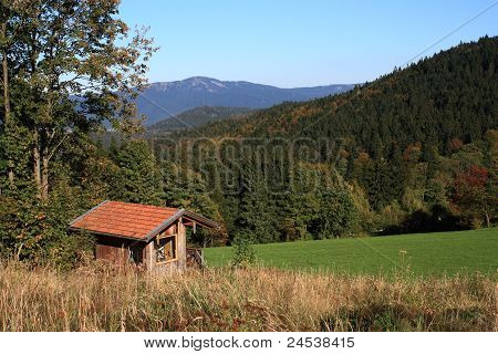 Bayerischer Wald