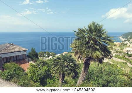 2018, 12 May, Banyalbufar, Majorca, Spain. Two Palm Trees And Beautiful View Toward The Mediterranea
