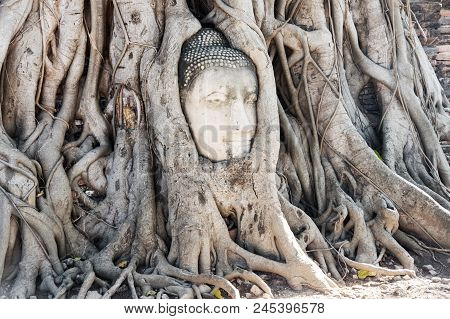 A Stone Head Of Buddha In Wat Prha Mahathat Temple