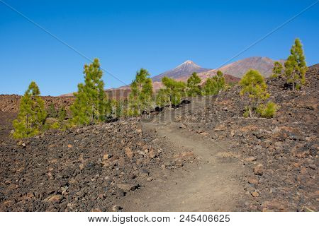C=footpath To The Pico Viejo And Pico Del Teide. Parque Nacional Del Teide On Tenerife Island, Canar