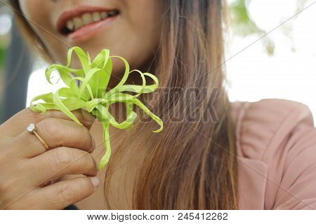Asian Girl Has A Relaxed Mood With 