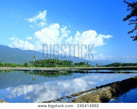 Beautiful Scenery In The Rice Fields, Desa Sibowi, Kecamatan Biromaru, Kabupaten Sigi, Sulawesi Teng