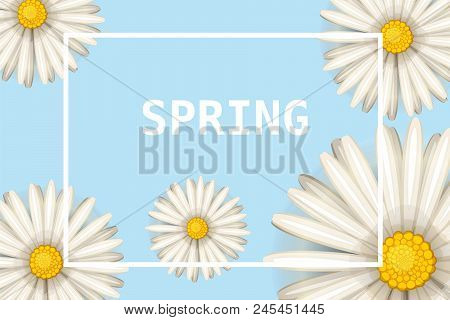 Daisies Flowers Spring Background, Cartoon Style, Vector, Illustration, Flyer, Banner