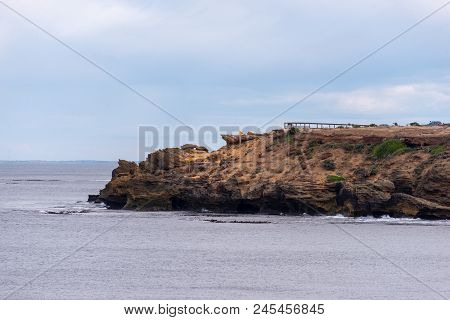 View Back Towards Thunder Point In Warrnambool Victoria Australia