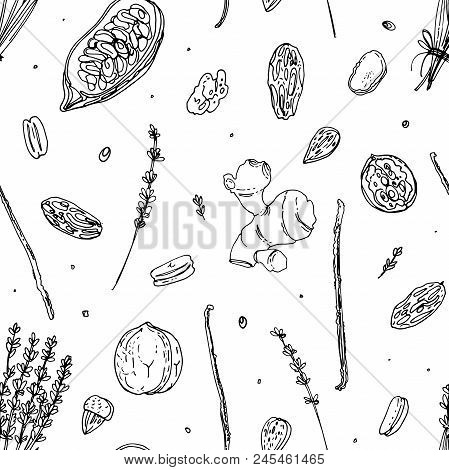Pattern Nuts And Spices Line Drawn On A White Background. Sketch Of Food. Walnut, Cocoa Beans, Vanil