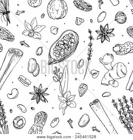 Pattern Nuts And Spices Line Drawn On A White Background. Sketch Of Food. Walnut, Cocoa Beans, Vanil
