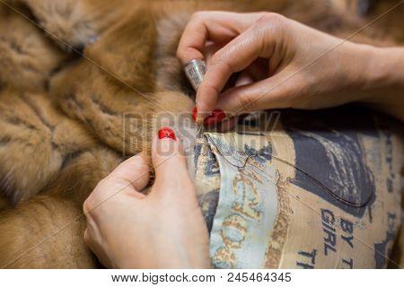 Professional Tailor, Designer Repairing Fur Coat At Atelier, Studio. Fashion And Tailoring Concept
