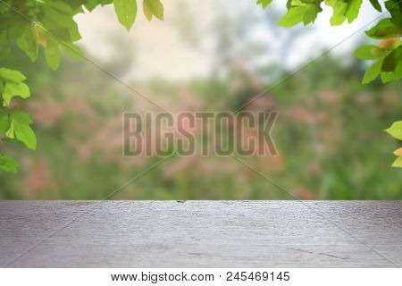Natural Backgrounds Old Empty Wooden Table Above The Tree Blurred With Bokeh Background And Green Fr
