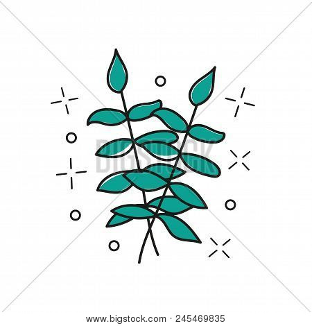 Vector Hand Drawn Twig - Stylized Plant, Brush Strokes, Design Element, Print - Vector Illustration 