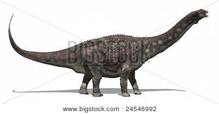 Diamantinasaurus 공룡