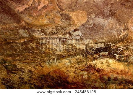 Animal Paintings On Wall Of Caves Are The Indication Of Artistic Talent Expressed By Primitive Cave 