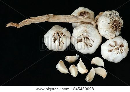 Close-up Of Health And Garlic,
Kastamonu Garlic Turkey Close-up,