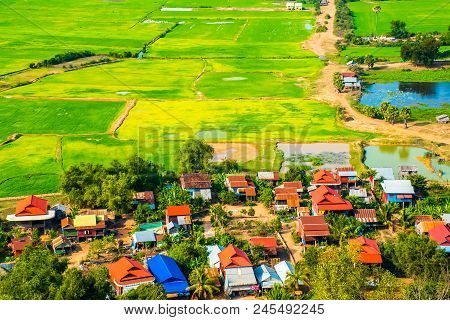 Floating Village Phnom Krom, Green Rice Fields In Tonle Sap, Siem Reap, Cambodia
