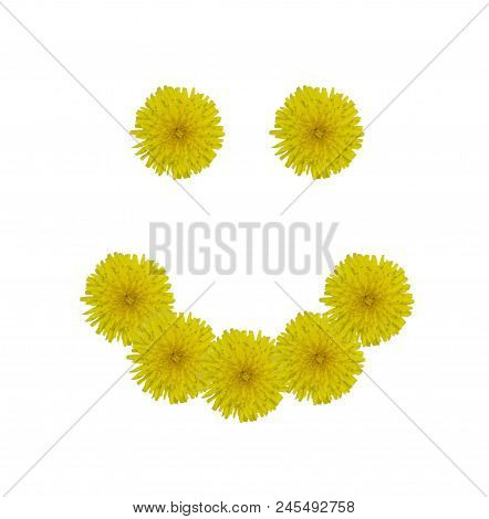 Smile Concept Isolated On White Background. Happy Floral Smile Made Up Of Alife Real Yellow Flowers 