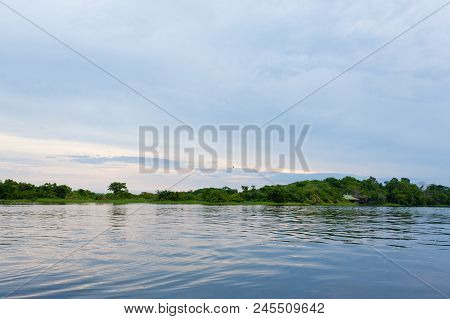 Panorama From Amazon Rainforest, Brazilian Wetland Region.