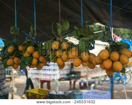 Fresh Yellow Mango Sells In The Market