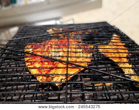 Food, Delicious Red Snapper Fish, Grilled Charcoal