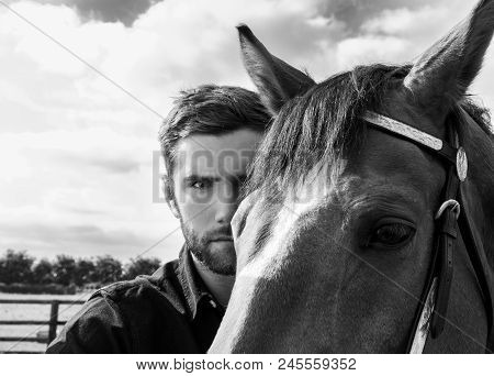 Good Looking, Hunky Cowboy Standing Behind His Stallion,  Horse With Boots, Black Shirt And Hat