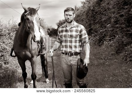 Good Looking, Hunky Cowboy With Boots, Chequered Shirt And Hat Walks Next To His Stallion, Horse