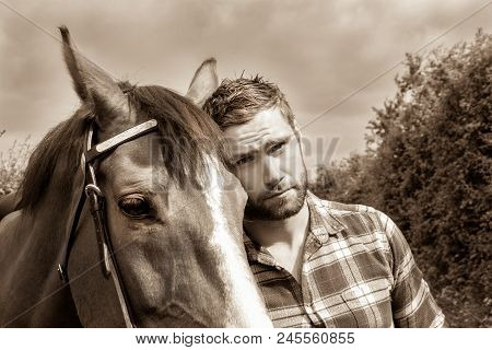 Good Looking, Hunky Cowboy With Boots, Chequered Shirt Hugs His Stallion, Horse.