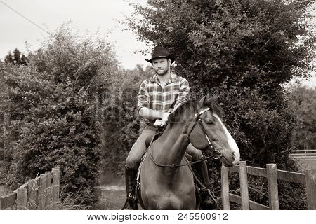 Good Looking, Hunky Cowboy Rides Horse With Boots, Chequered Shirt And Hat