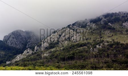 A View Of The Rocky Mountains With A Forest In Serbia Against The Background Of Fog.