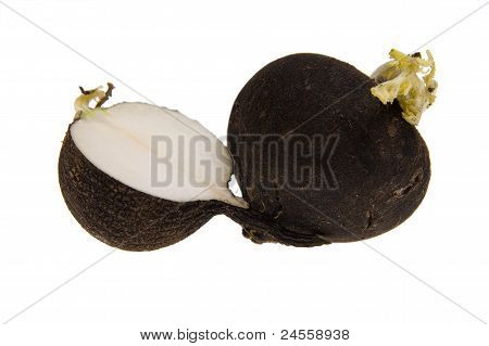 Ravanello nero