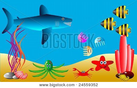 Sea life