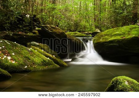 A Creek Flowing Over Mossy Rocks In A Forest.  Elkmont, Great Smoky Mountains National Park, Usa.