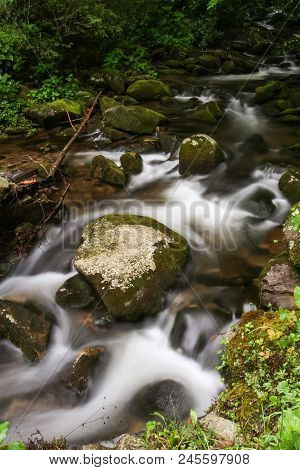A Creek Flowing Over Mossy Rocks In A Forest.  Cosby, Great Smoky Mountains National Park, Usa.