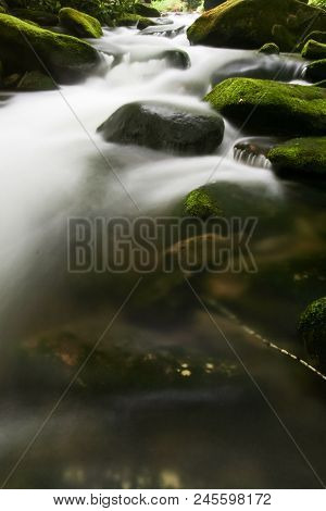 A Creek Flowing Over Mossy Rocks In A Forest.  Cosby, Great Smoky Mountains National Park, Usa.