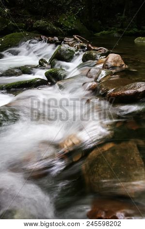 A Creek Flowing Over A Stone Dam In A Forest.  Cosby, Great Smoky Mountains National Park, Usa.