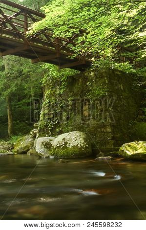 A Footbridge Over A River In A Forest.  Great Smoky Mountains National Park, Usa.