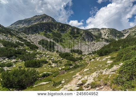 Landscape With Banderitsa River Valley, Pirin Mountain, Bulgaria