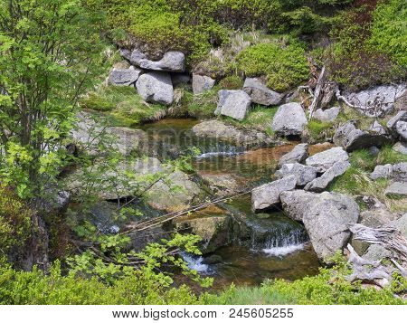 Spring Mountain Stream Bila Smeda With Stones And Boulders, Grass Nad Moss, Green Bushes In Jizera M