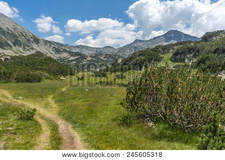 Landscape With Banderitsa River Valley, Pirin Mountain, Bulgaria