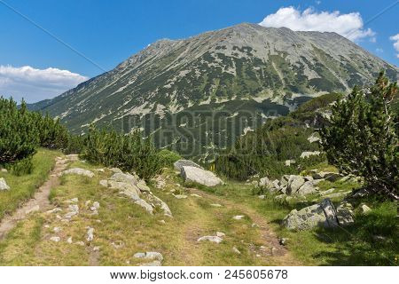 Landscape With Banderitsa River Valley, Pirin Mountain, Bulgaria