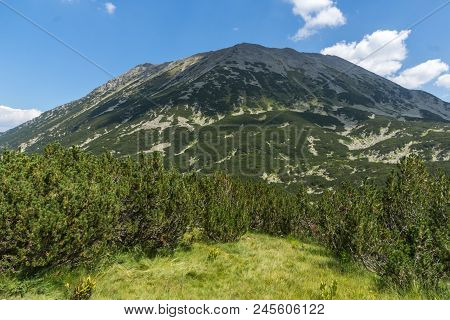 Landscape With Banderitsa River Valley, Pirin Mountain, Bulgaria
