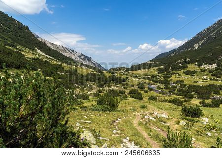 Landscape With Banderitsa River Valley, Pirin Mountain, Bulgaria