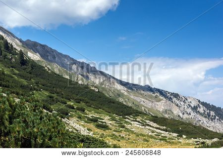 Landscape With Banderitsa River Valley, Pirin Mountain, Bulgaria