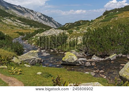 Landscape With Banderitsa River Valley, Pirin Mountain, Bulgaria
