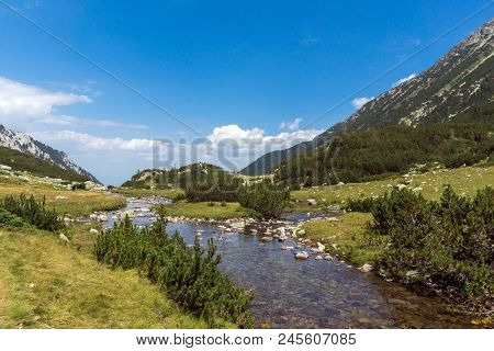 Landscape With Banderitsa River Valley, Pirin Mountain, Bulgaria