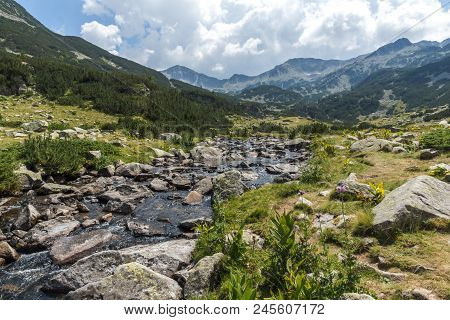 Landscape With Banderitsa River Valley, Pirin Mountain, Bulgaria