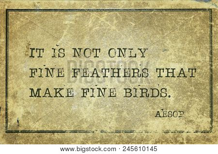 It Is Not Only Fine Feathers That Make Fine Birds - Famous Ancient Greek Story Teller Aesop Quote Pr