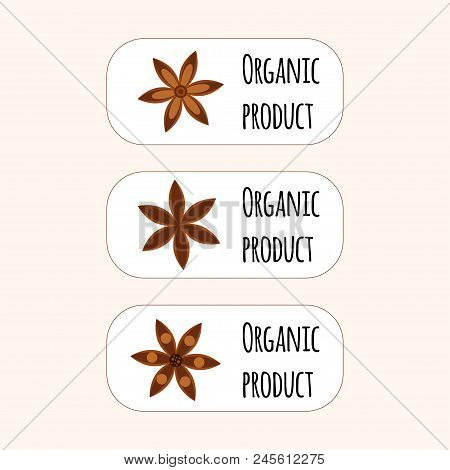 Vector Illustration. Spice. Star Anise Badian. Set Of Logo. Organic Product