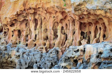 Sedimentary Rock Formations On A Beach At Barwon Heads, Australia.
