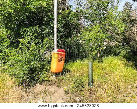 Litterbin Near Trees, Growing Near The Road. Close Up Shot In Suny Day.