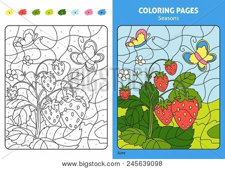 Seasons Coloring Page For Kids, June Month. Printable Design Coloring Book. Coloring Puzzle With Num