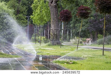 Automatic Sprinkler System Watering The Lawn On A Background Of Green Grass, Close-up