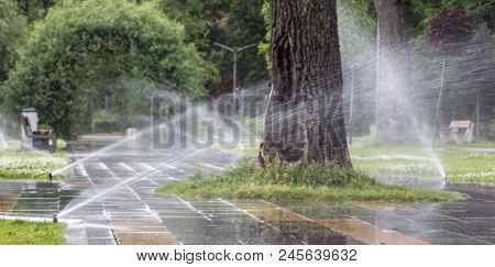 Automatic Sprinkler System Watering The Lawn On A Background Of Green Grass, Close-up